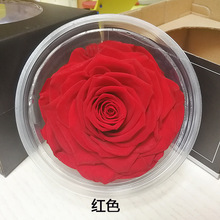 ������������l A��9-10cm����õ�� ���˹�����Y�� ����������