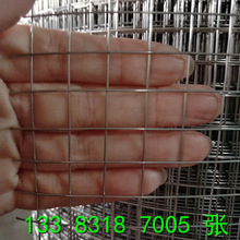 厂家生产供应 镀锌钢丝 铁丝 不锈钢材质 方孔 方眼  防鸟 金属丝