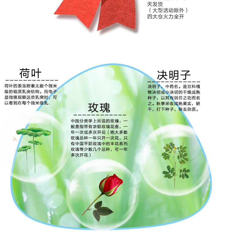 婉明玫瑰荷叶茶(3)_06