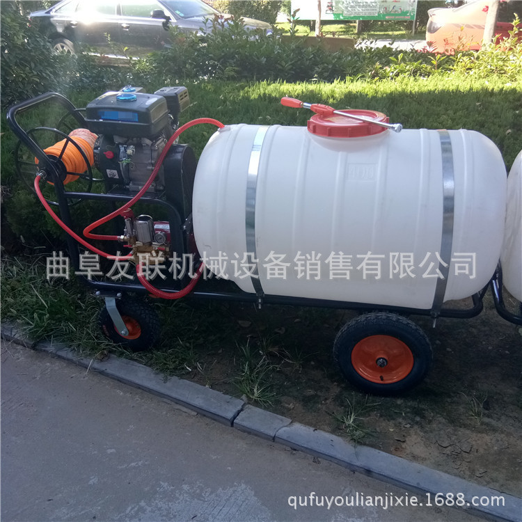 手推式电动高压喷雾机 园林防护消杀打药机 高射程打药机30