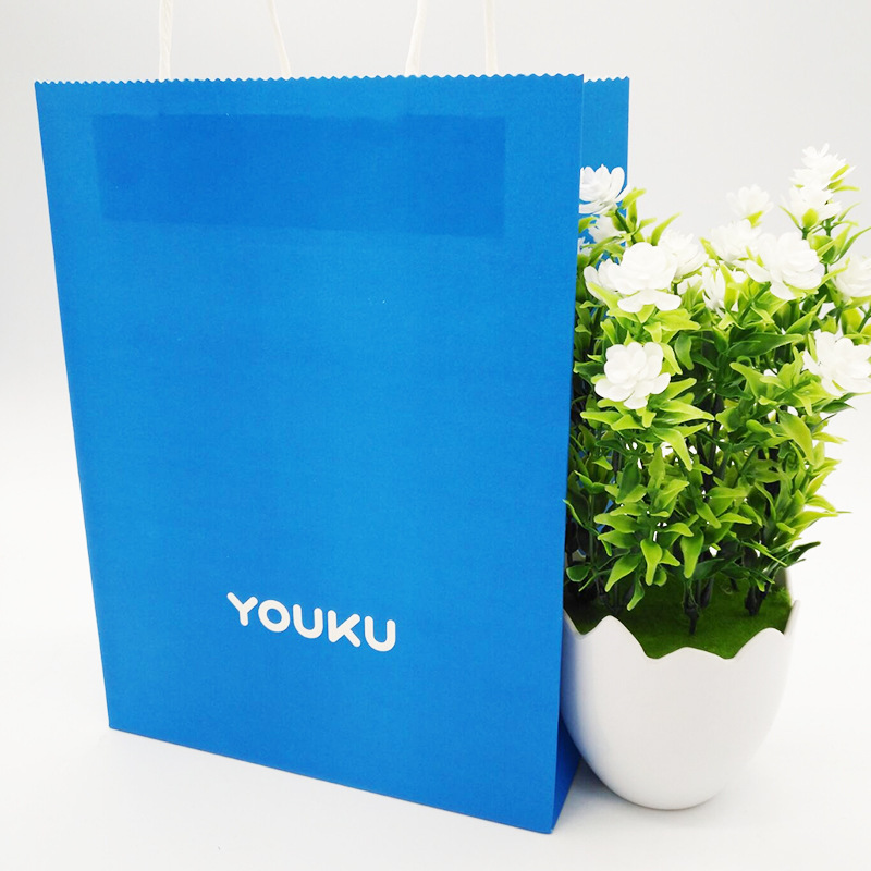 厂家定制白牛皮纸袋服装手提纸袋礼品袋