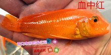 ѩ�мt ��������  ̹�� �R�� �Ꭷ�~ �^�p�~���w �����~���l