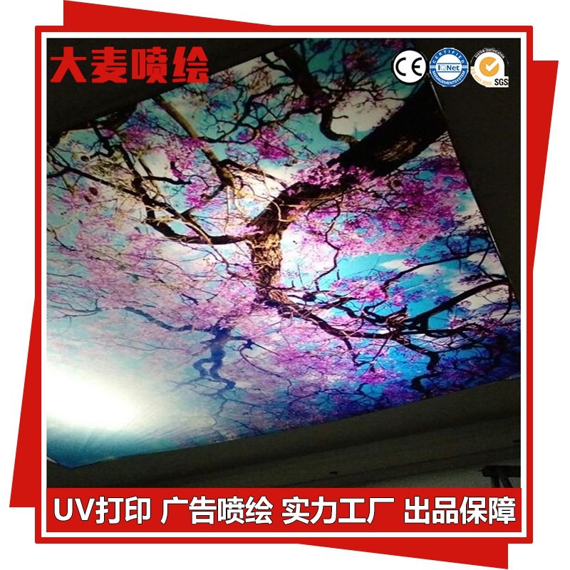 防水防晒户外用UV喷绘车贴 可移除地贴车贴 深圳大型广告喷绘公司