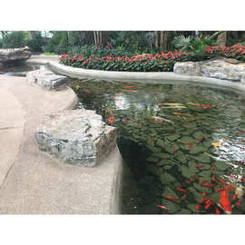 锦鲤鱼池过滤陕西安康景观水水体处理水质全套解决方案免费设计