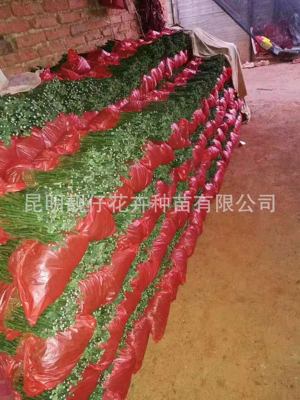 ΢ͼƬ_20170728162451