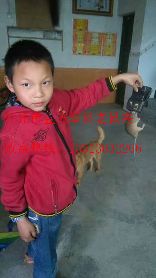 mmexport1491470586516