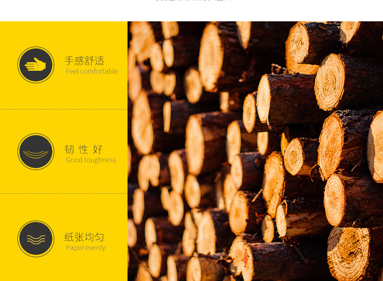 RC相纸_05