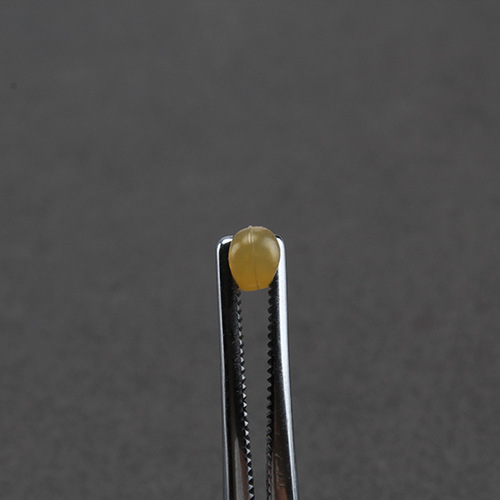 Aolhu Rubber Big Space Bean Giant Bluefish Sturgeon Suitable for 8-20 Large Main Line Accessories Non-Harmful Line Accessories