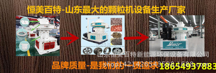 4407565465_2076028511_副本