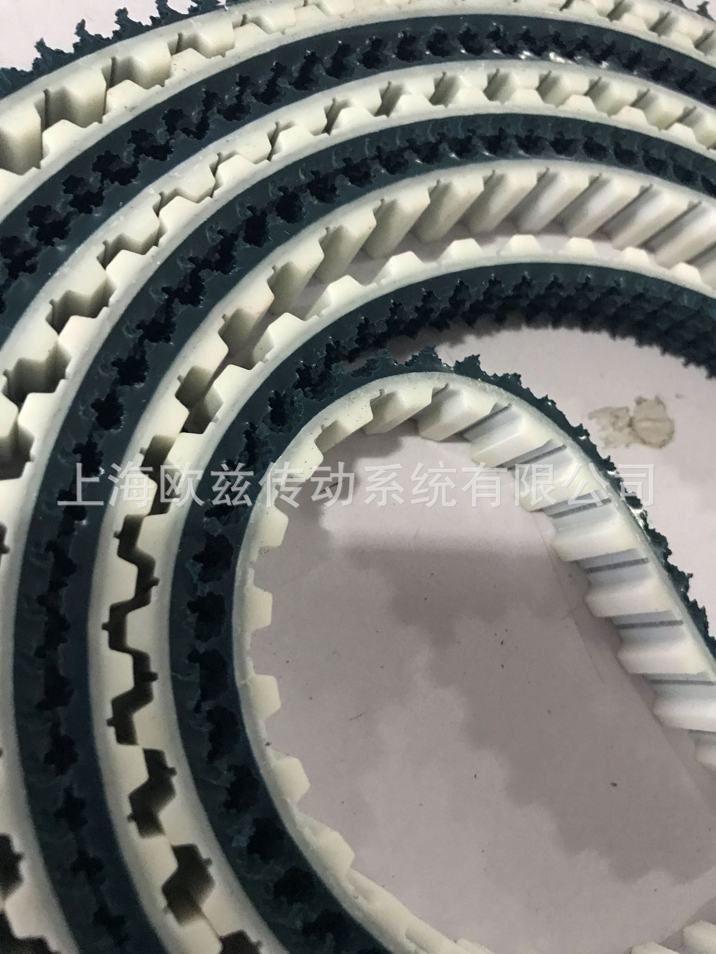 同步带草纹带T10IMG_2321