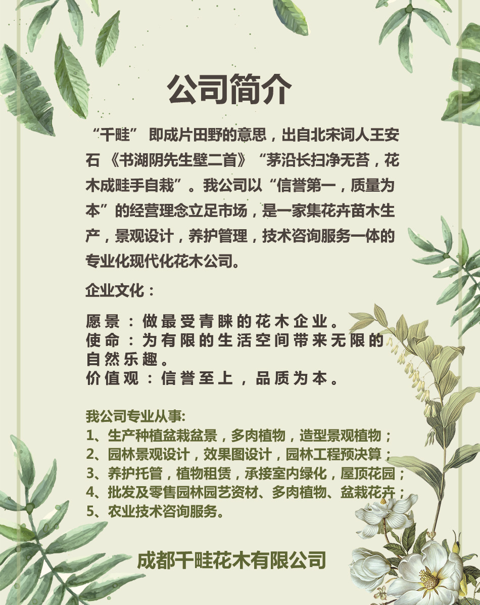 详情页公司简介