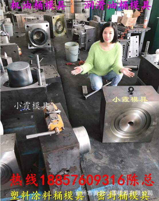 机油桶模具 (79)