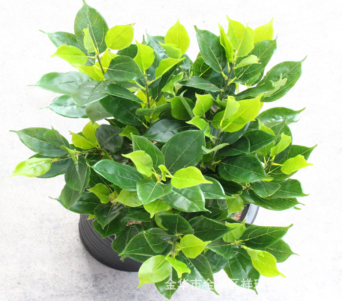 XRB-008香樟叶五叉枝立体3