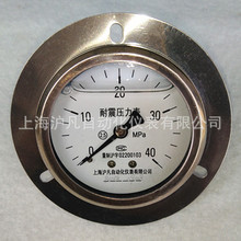 厂家销售 YN60ZT 耐震压力表 轴向带边 充油 防震抗振 注塑机专用