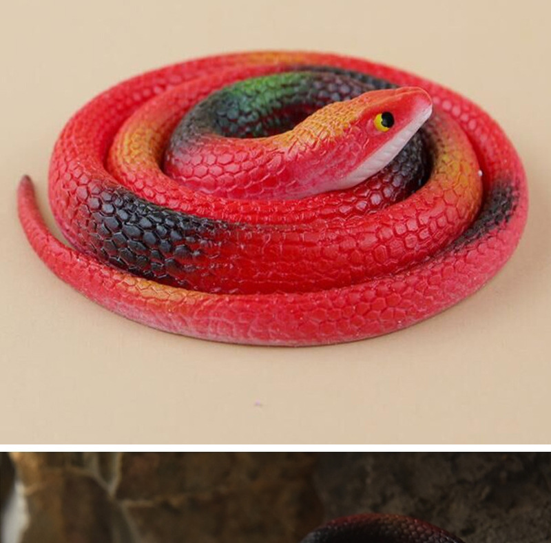 橡胶中蛇（B）详情页_08