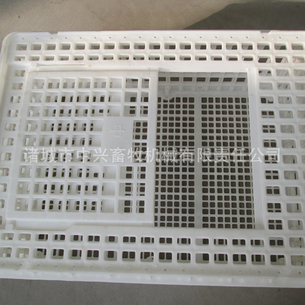 大鸡周转筐  优质塑料成鸡周转筐厂家  塑料鸡筐批发零售