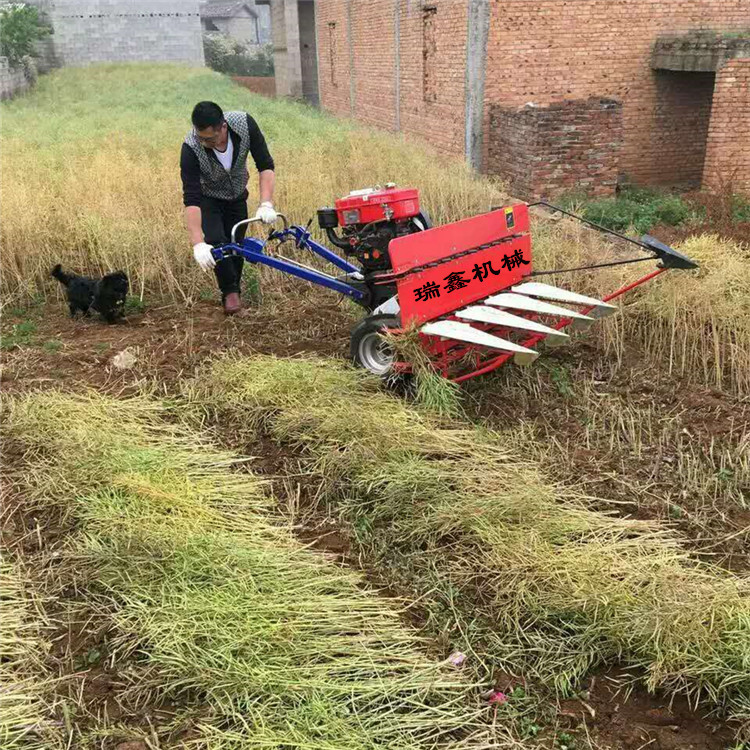 籼稻晚稻割晒机 生产销售芦苇割晒机 开封