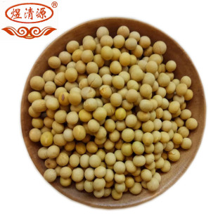 �S�����l�|���خa���S�� �決�S�� �S��