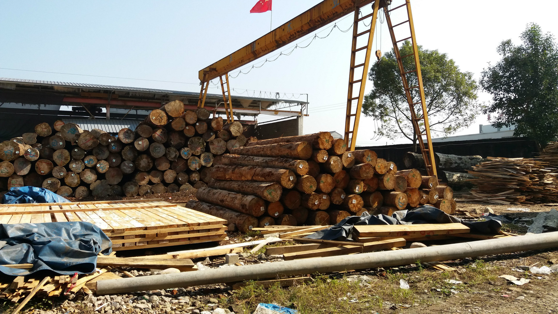 20161119_105032_看图王