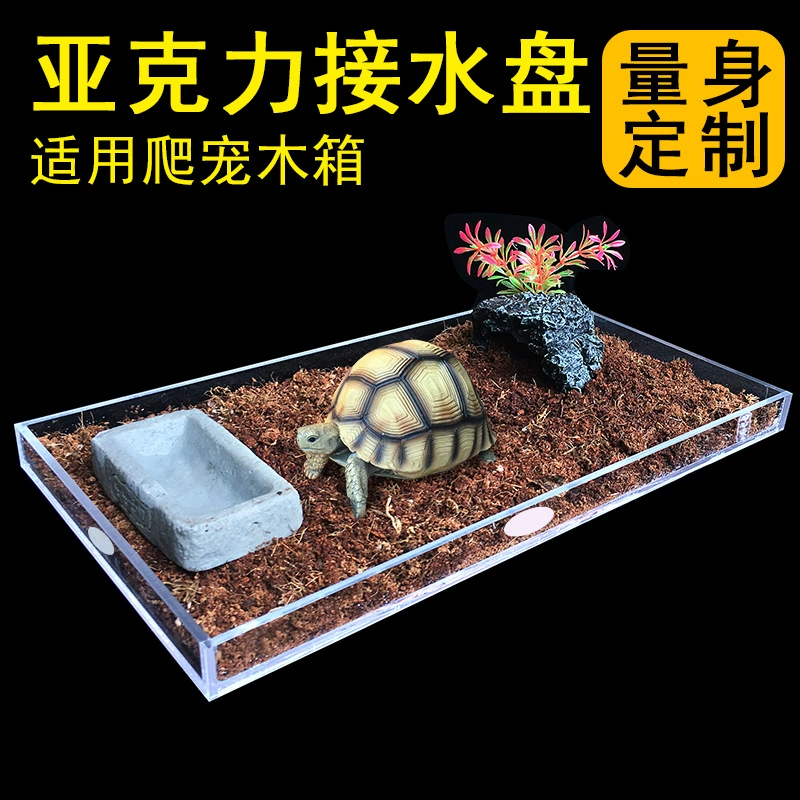 Гусеничный ящик для воды поднос для лазанья для домашних животных индивидуальный акриловый водонепроницаемый влагостойкий корпус пластиковое основание бонсай настраиваемое