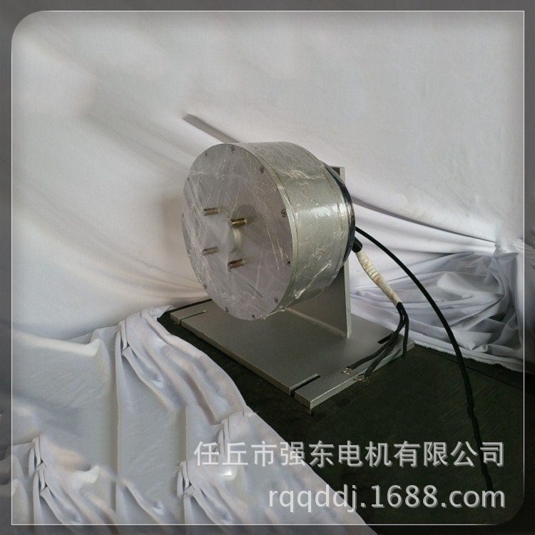 电动汽车轮毂电机