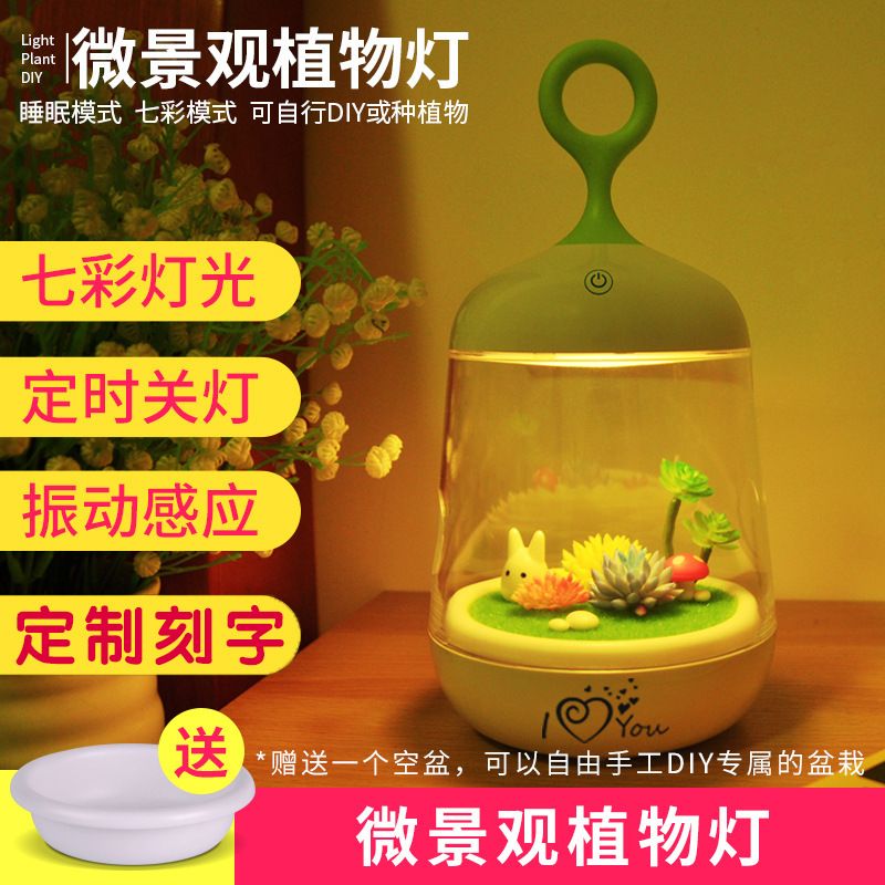 微景觀植物燈 led發光盆栽小夜燈新奇特禮物 觸摸感應鳥籠隨手燈