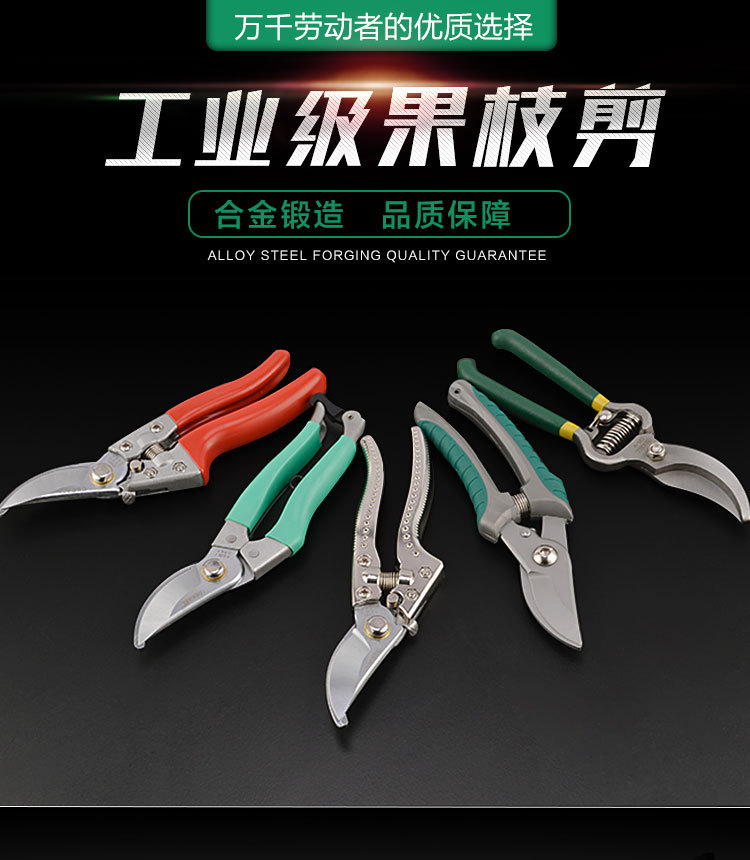 迪澳新款园林剪园艺花树枝剪粗枝剪果枝剪进口不锈钢修枝剪刀