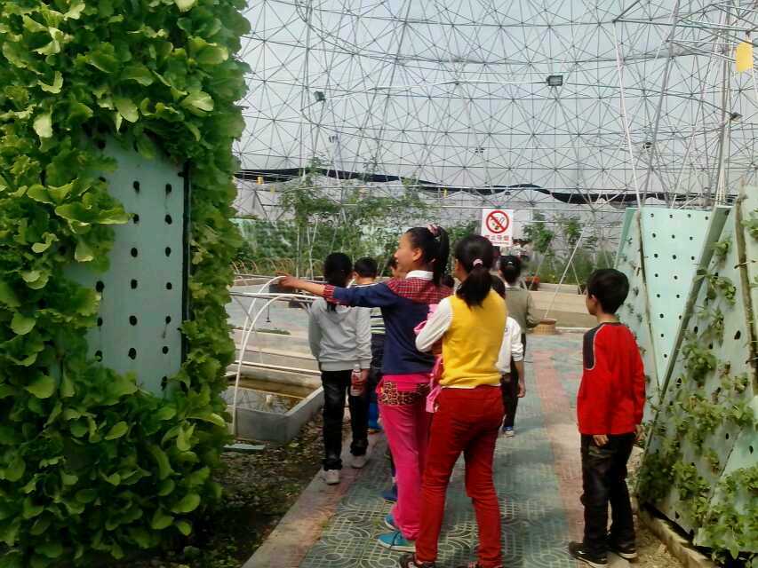 气雾栽培的特点及其应用(一) mmexport1395580047454