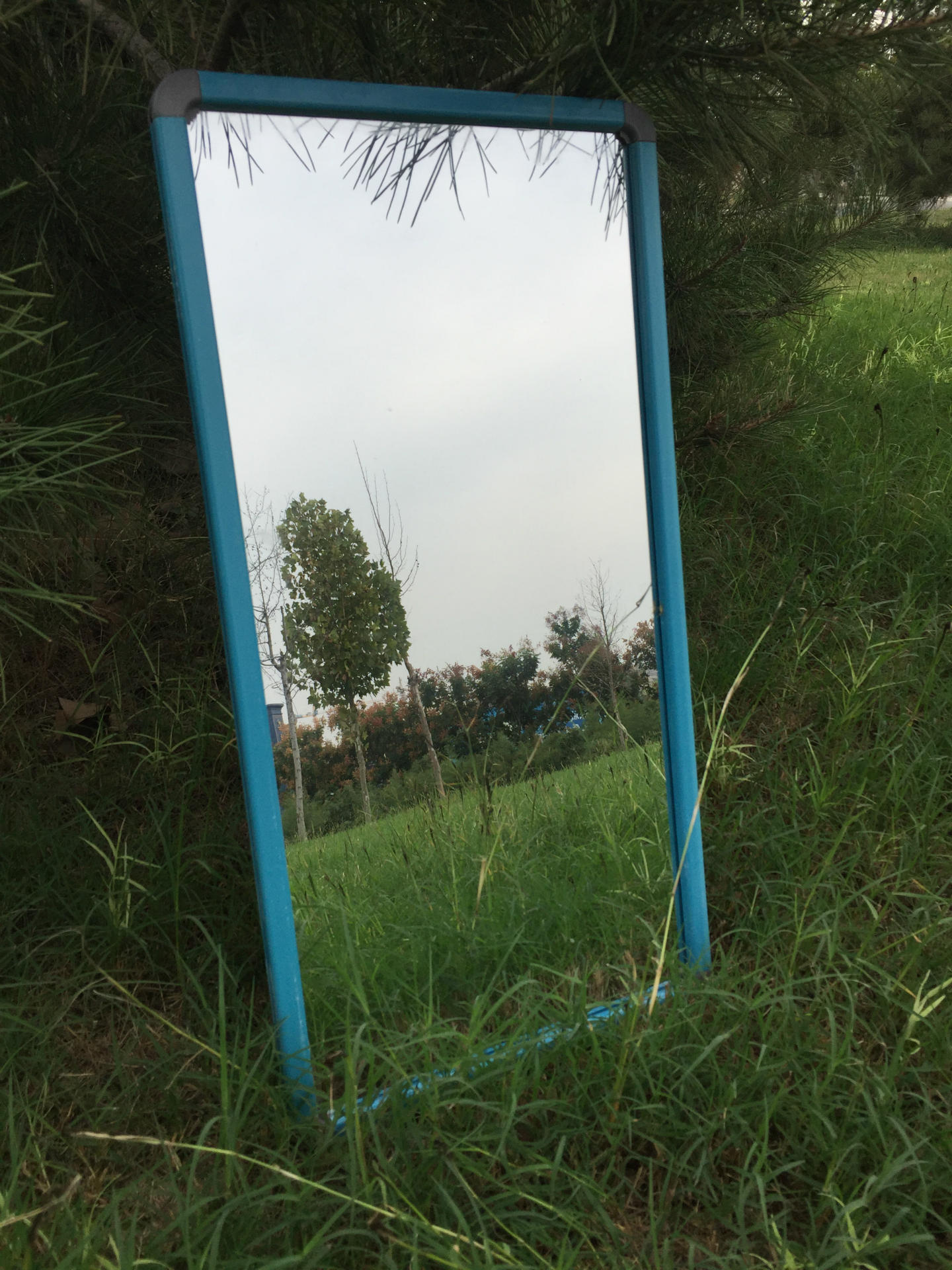 微信图片_2017092408264922