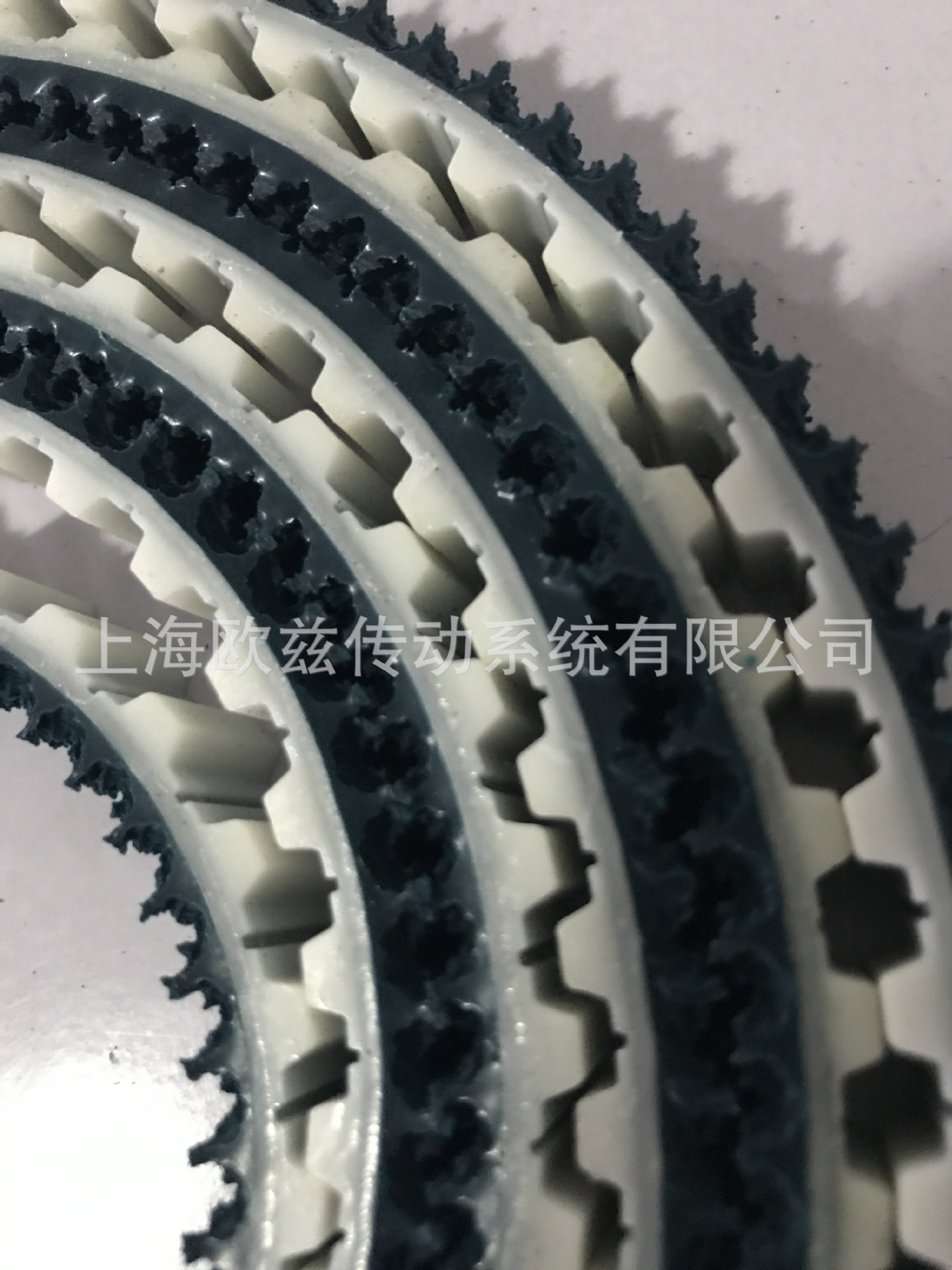 同步带草纹带T10IMG_2322