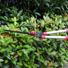 sunsong ���� ����  12���X�ܻh�ʼ� �@�ּ���