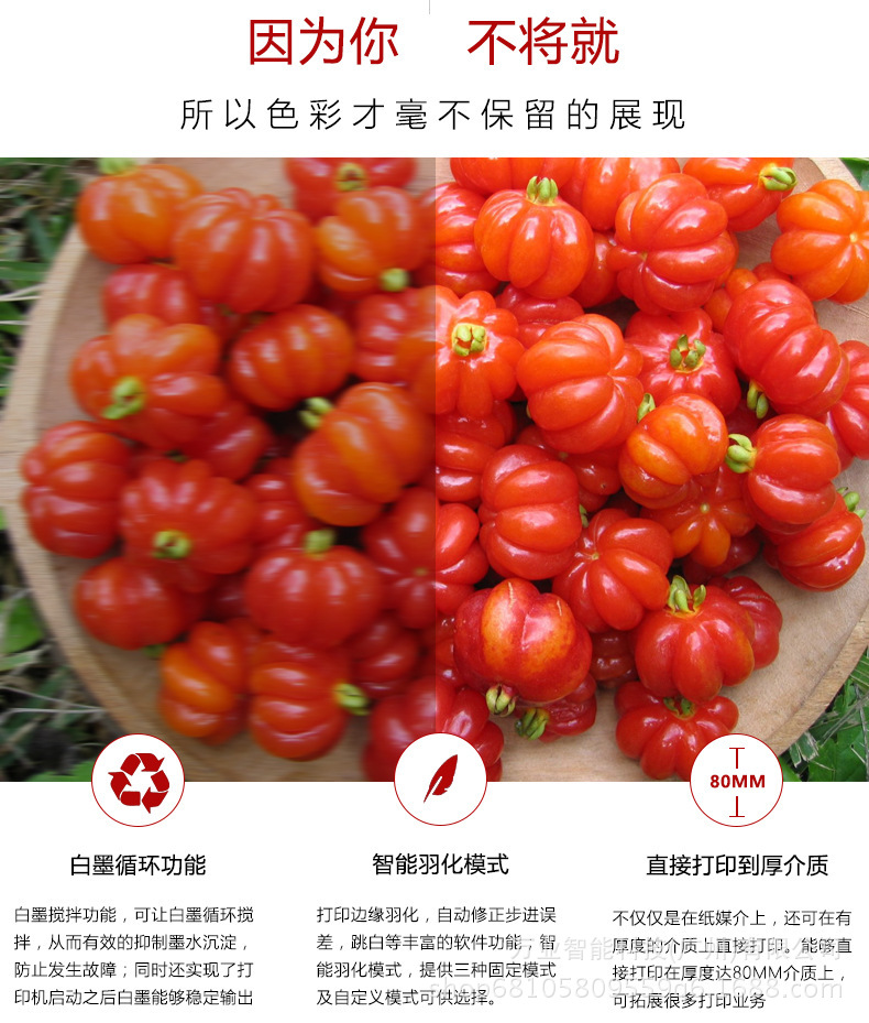 3377589447_456817285