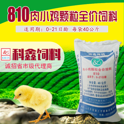 科鑫飼料/810肉小雞顆粒飼料/雞顆粒飼料/雞飼料/廠家批發
