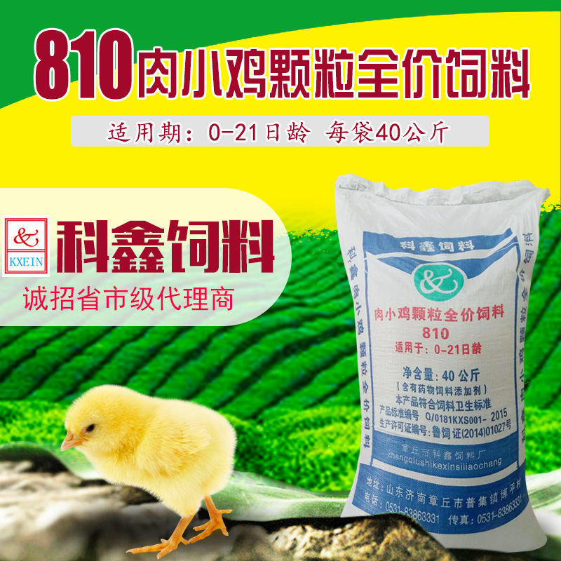 科鑫飼料/810肉小雞顆粒飼料/雞顆粒飼料/雞飼料/廠家批發