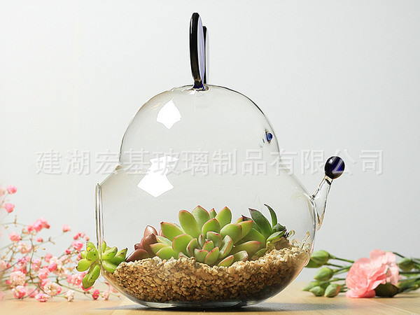 Succulent fleshy plant flower plug green plant glass simple…