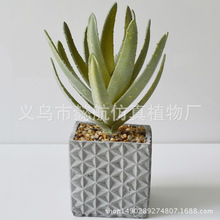 �������ֲ�� ���Q�����辰ֲ�� ���Q��������������������������