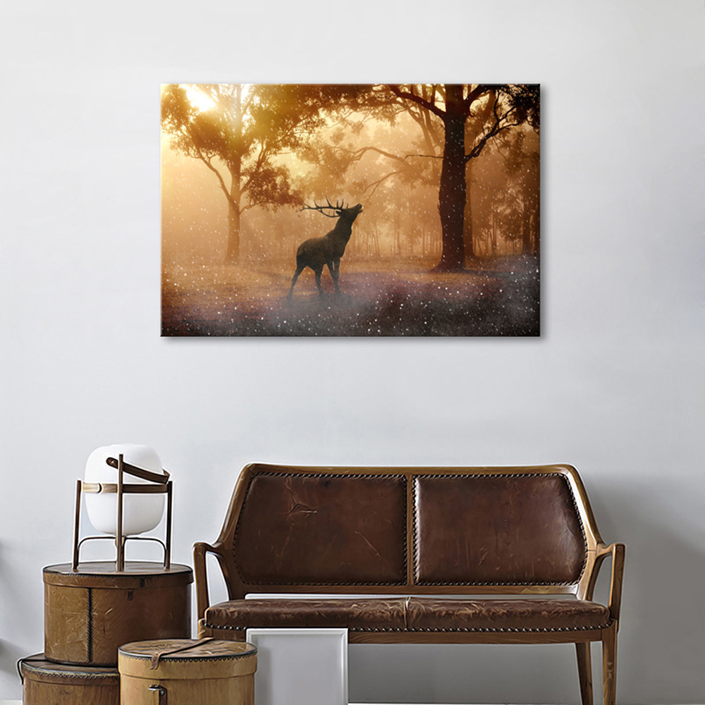 TB25segjFXXXXaRXpXXXXXXXXXX_!!