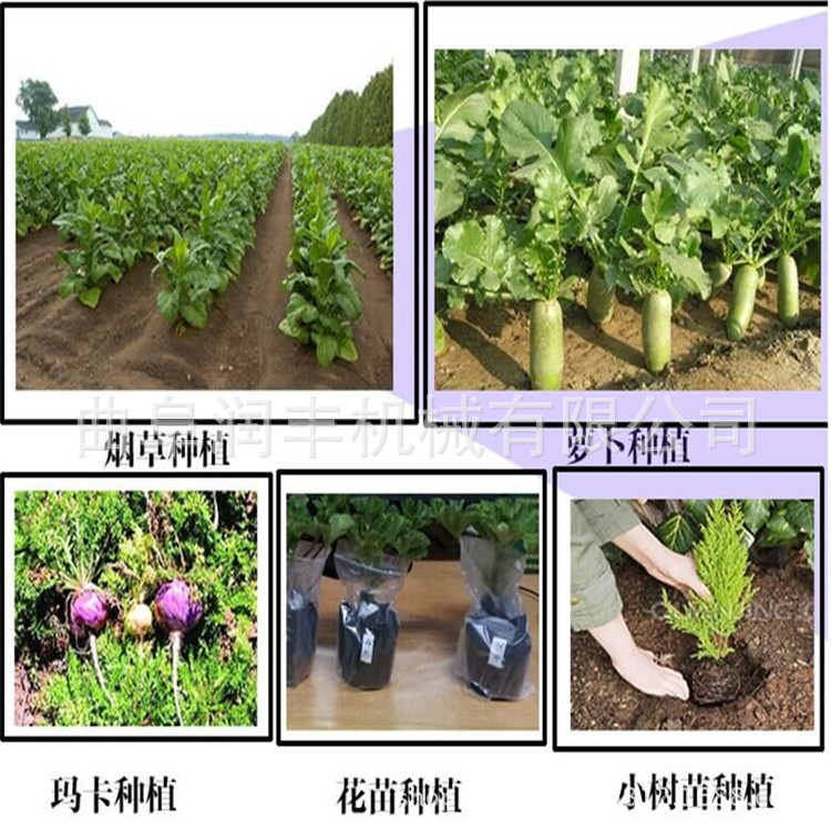 专业移栽烟钻 翁牛特旗合金钻头打孔机
