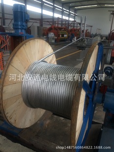 �о�X�g����LGJ 300/25�g��