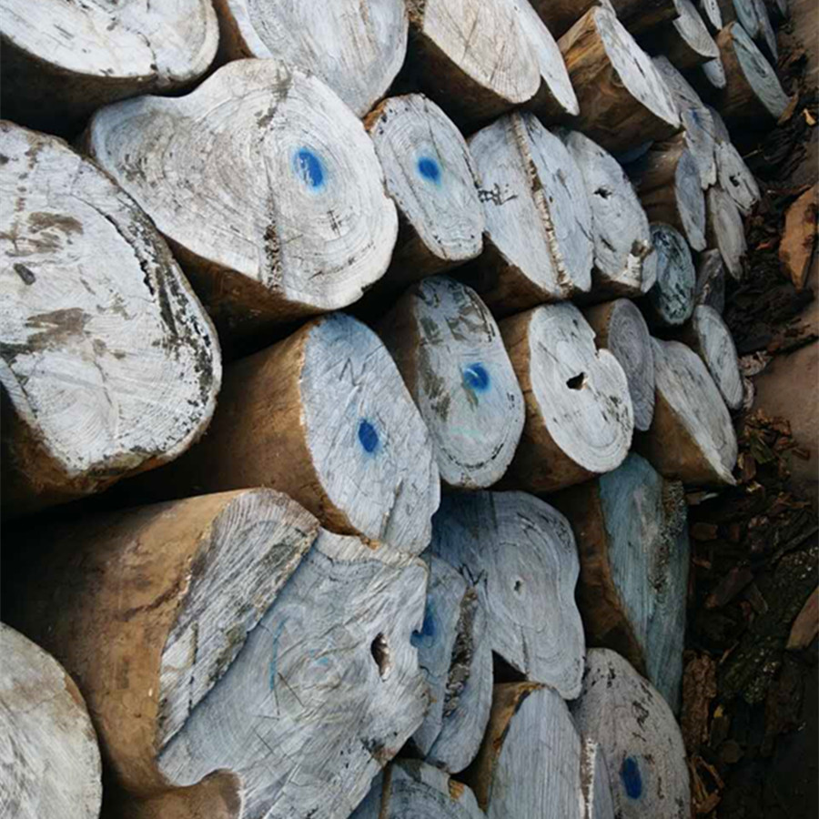 4ca9a4e26e4c01862182f415866e76