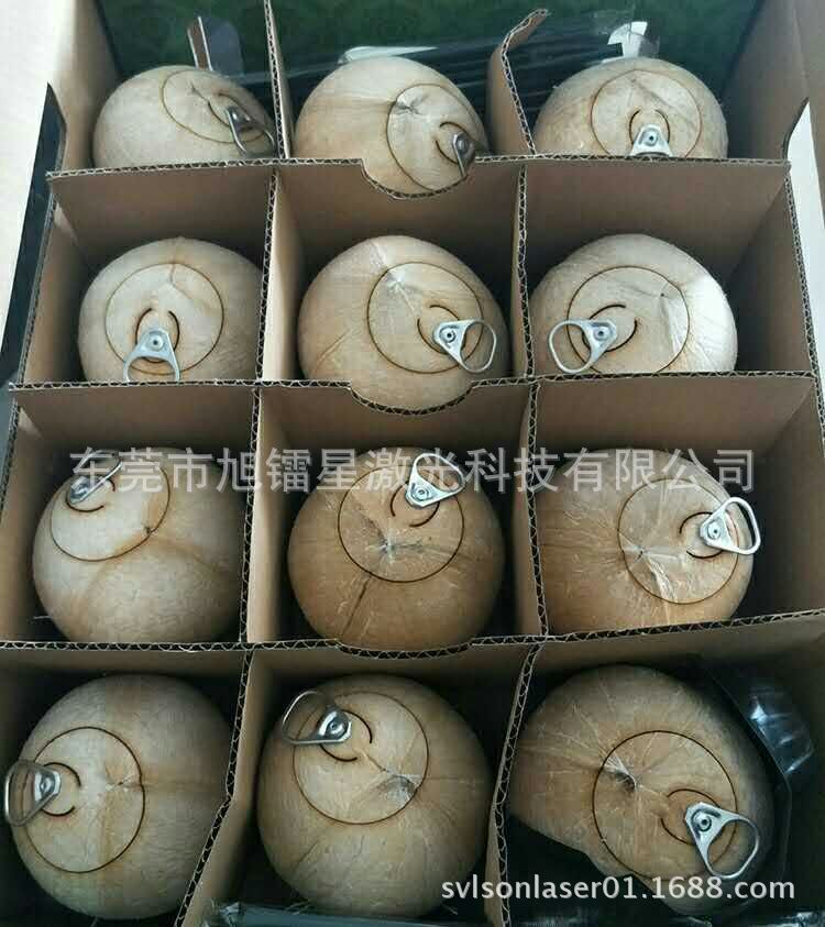 供应泰国 台湾云南南部 广州椰子画线开盖装拉环 水果激光切割机
