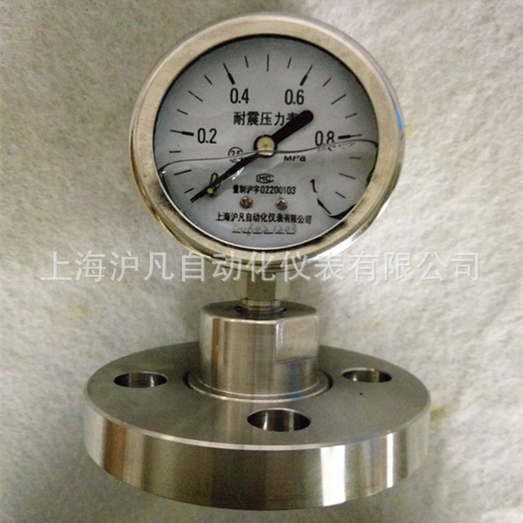 厂家供应 YN60MF 隔膜压力表 全不锈钢 防腐 耐震 法兰连接式