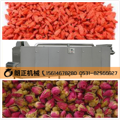 宁安小型辣椒烘干机,宁安高低温烤箱,宁安宠物食品烤箱、烘干箱