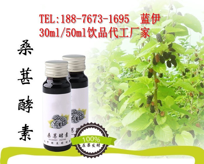 桑葚酵素2_conew2