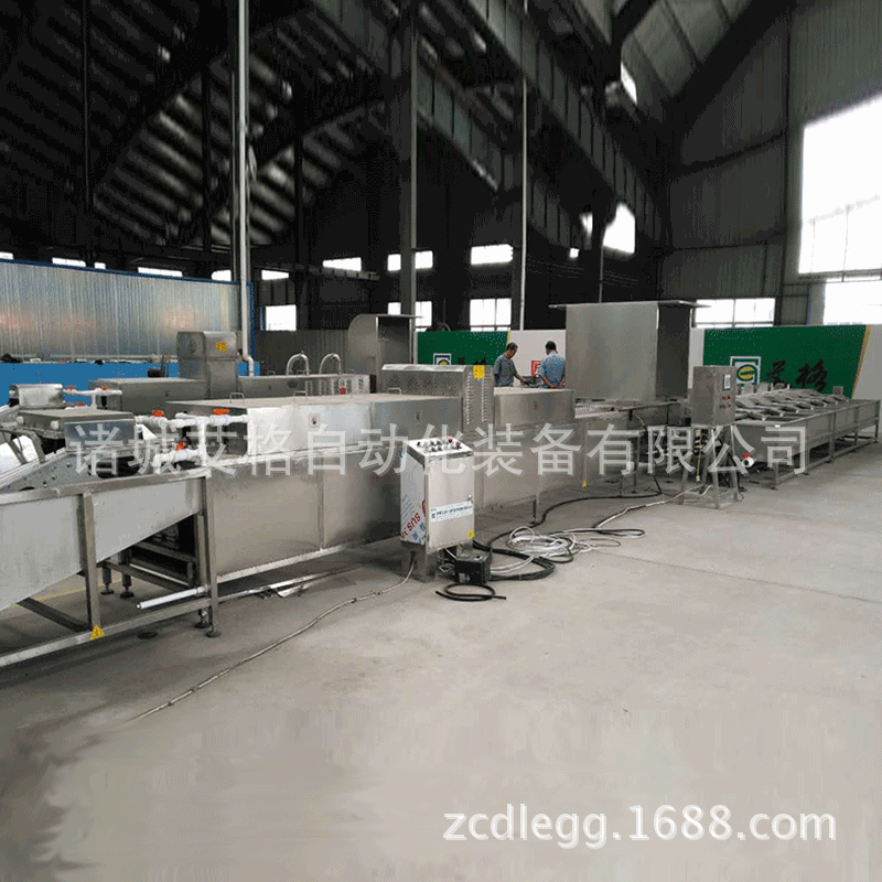 鸡蛋洗蛋机批发厂家 蛋类清洗机价格 艾格各种型号洗蛋机齐全