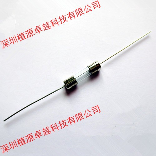 带引脚/引线 玻璃保险管 双帽 慢断 T3A/250V 3A 3.6*10MM