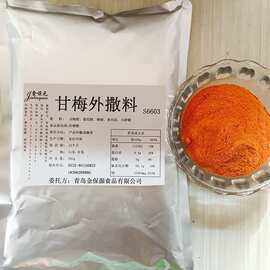 甘梅撒料 鸡排撒料鸡排粉 零食撒粉撒料 甘梅粉 烧烤撒料调味料