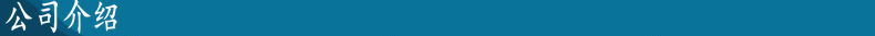 公司介绍