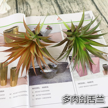 仿真多肉植物配件散件假花多肉塑料绿色盆栽DIY材料剑舌兰批发