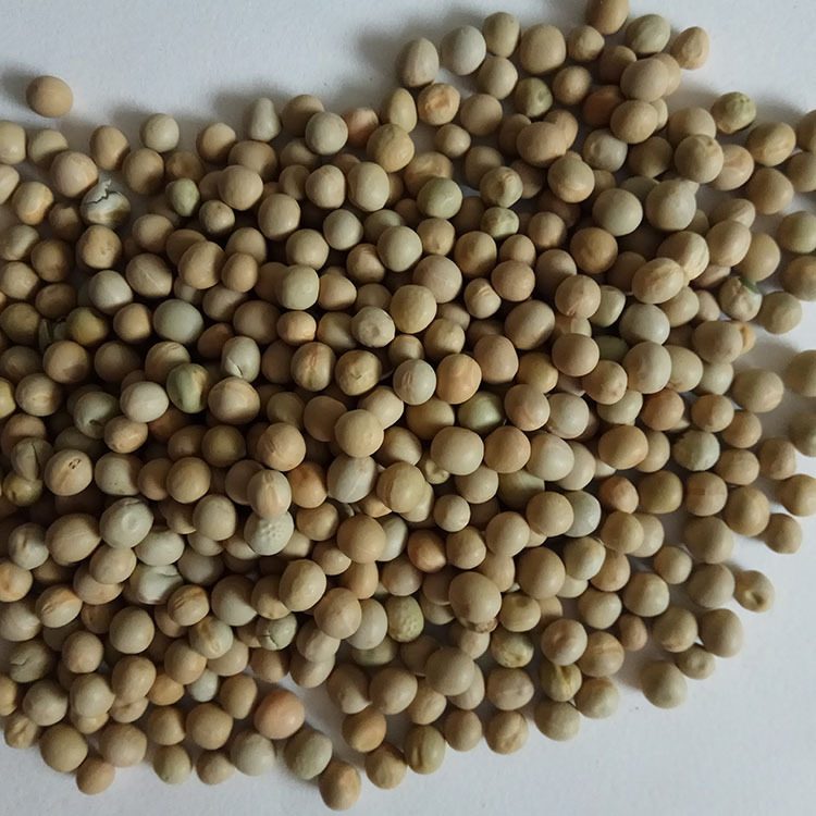 Low Temperature Roasted Peas Hand Selected Whole Dried Peas Wan Dou for Congee and Soup key features